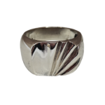 45-  Silver Fan - Görsel 3