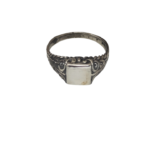 133-  NEM - Görsel 3