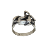 167- Kamasutra II Ring